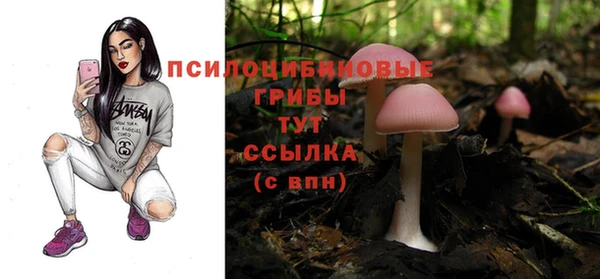 ПСИЛОЦИБИНОВЫЕ ГРИБЫ Алзамай