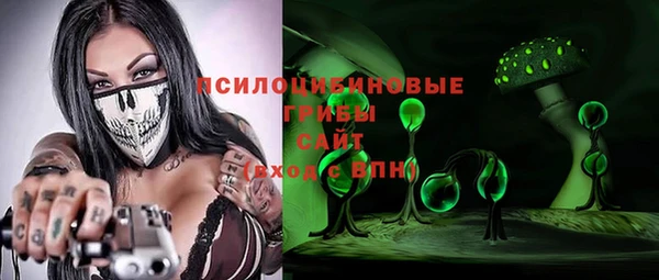 ПСИЛОЦИБИНОВЫЕ ГРИБЫ Алзамай