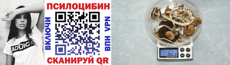 Галлюциногенные грибы GOLDEN TEACHER  MEGA tor  дарк нет Telegram  Петрозаводск 