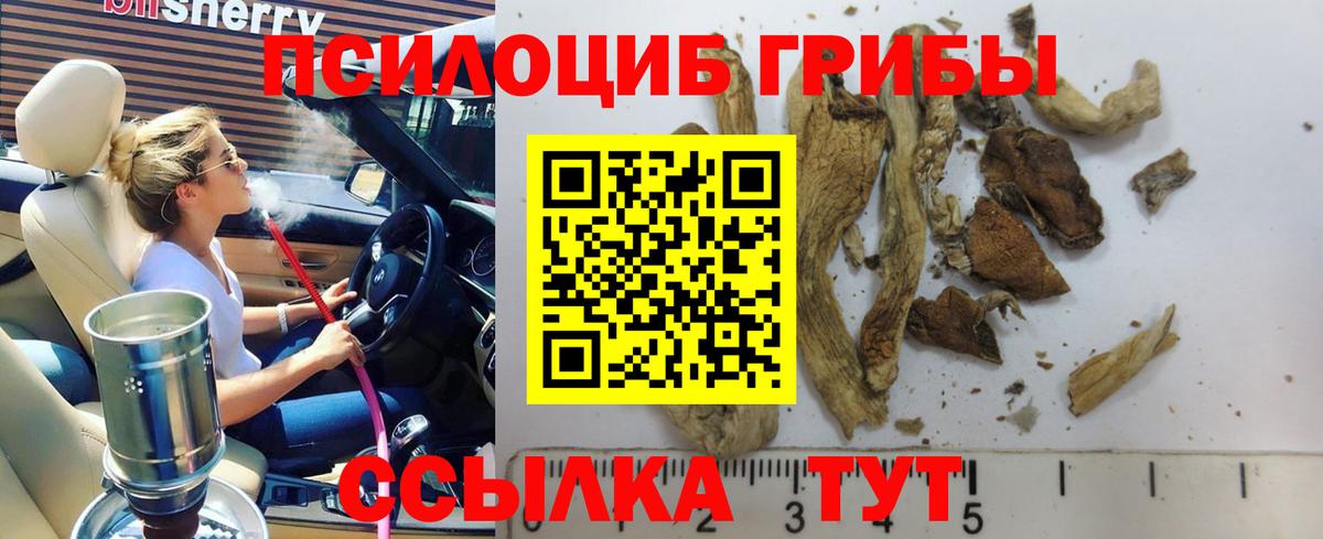 Псилоцибиновые грибы мицелий Петрозаводск